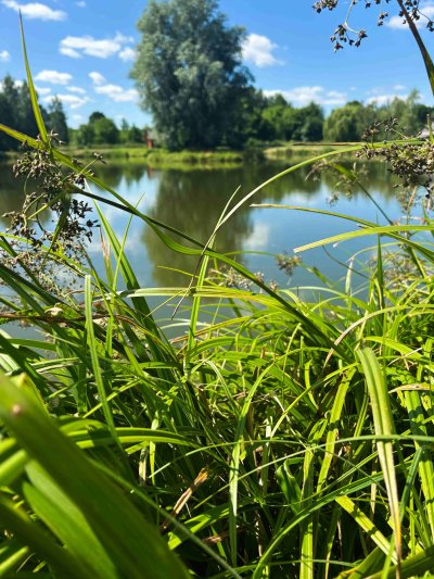 Wojsławickie Klimaty - galeria zdjęć